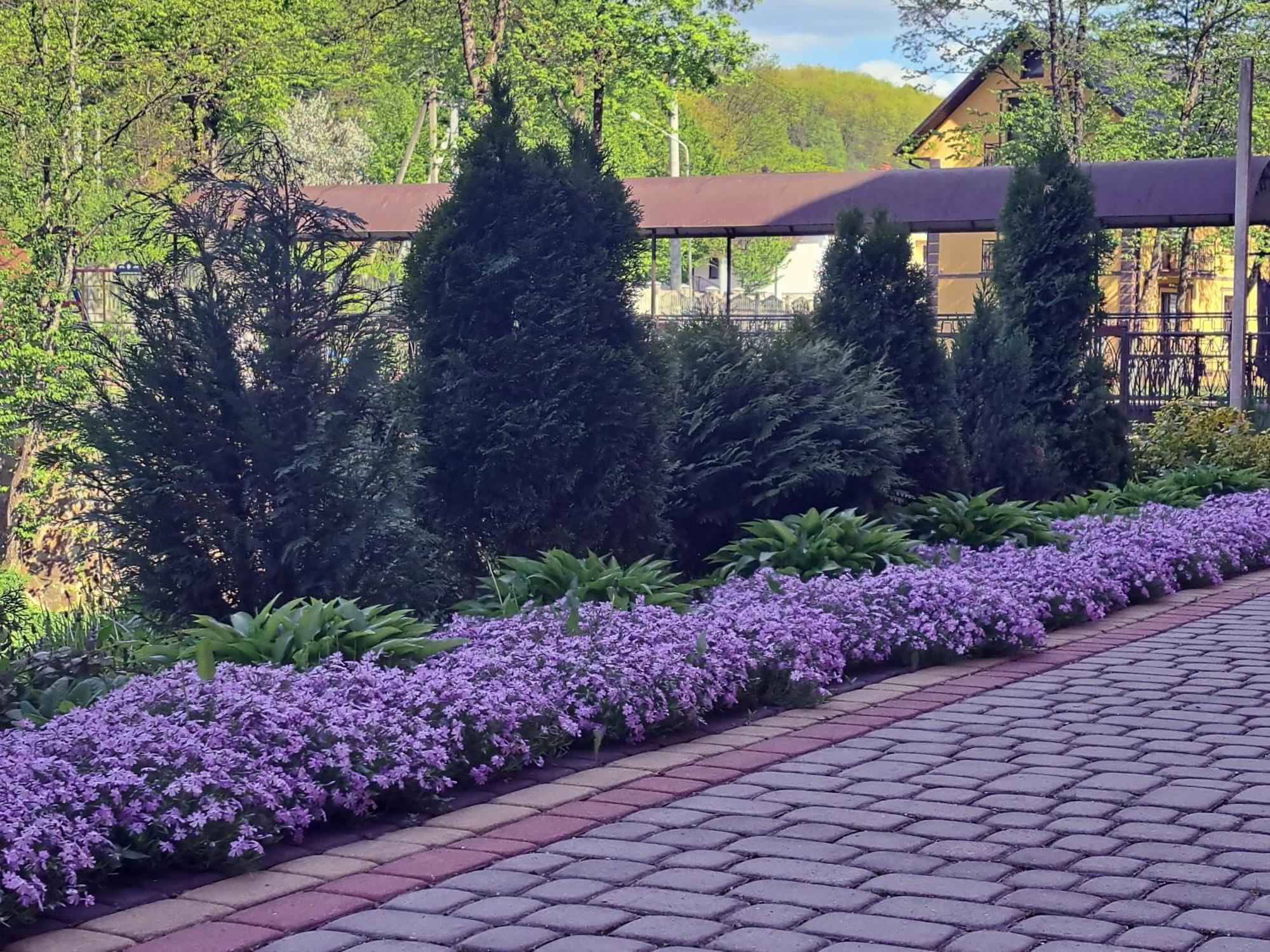 Сонячна Соната Hotell Poljana Exteriör bild
